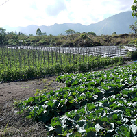 Photo de Bali - Le volcan